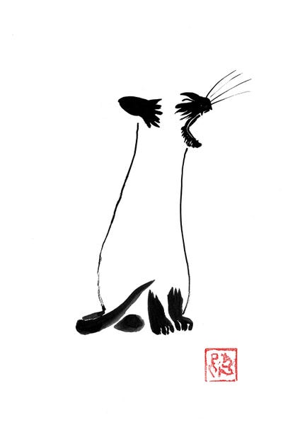 Péchane - Framed Canvas Art: Yawning Siamese Cat by Péchane