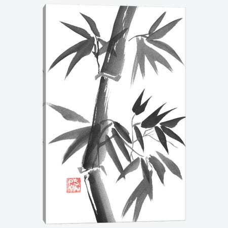 Bamboo Canvas Print #PCN10} by Péchane Canvas Artwork