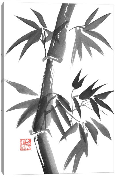 Bamboo Canvas Art Print - Gray Art