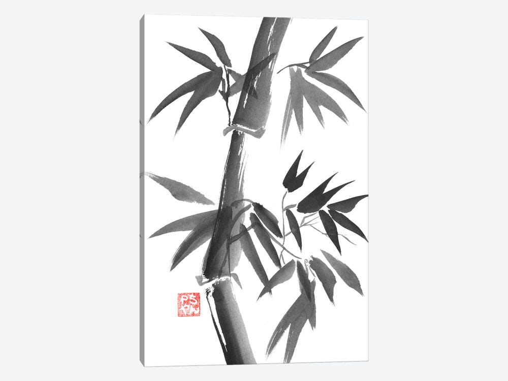 Bamboo by Péchane 1-piece Canvas Art