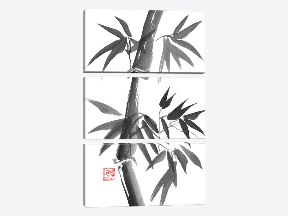 Bamboo by Péchane 3-piece Canvas Art