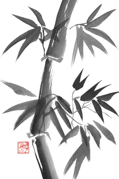Black & White Florals: Bamboo by Péchane
