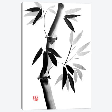 Old Bamboo Canvas Print #PCN114} by Péchane Canvas Artwork