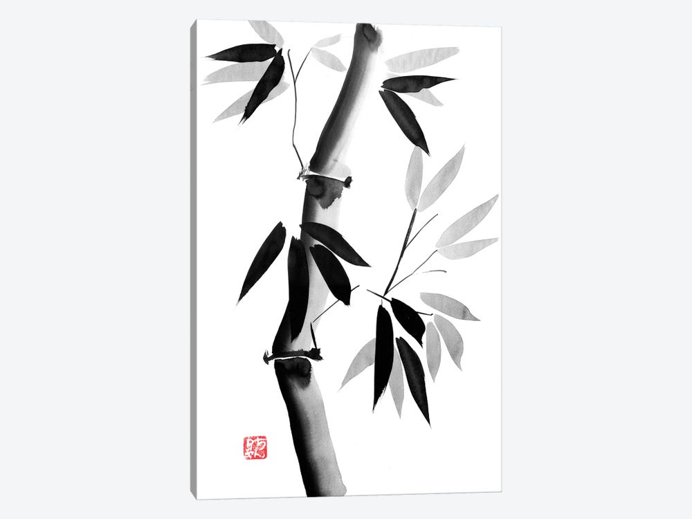Old Bamboo by Péchane 1-piece Canvas Artwork