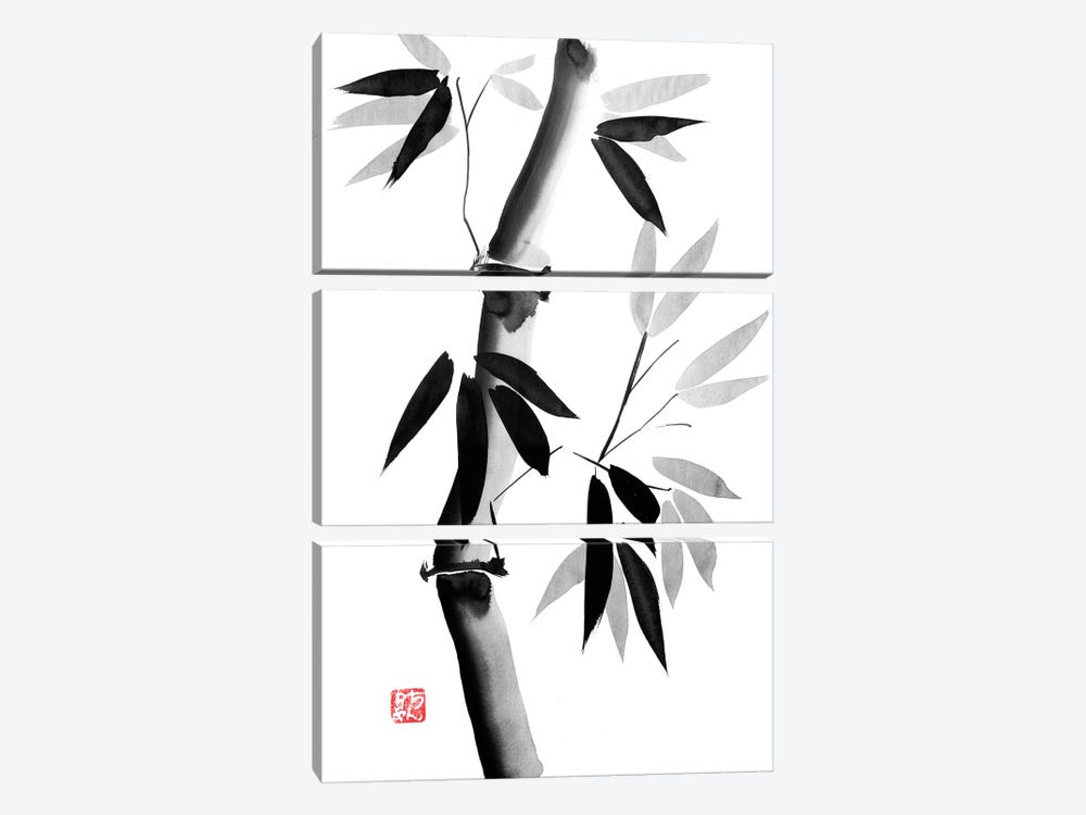 Old Bamboo by Péchane 3-piece Canvas Artwork