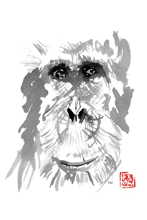 Old Orangutan