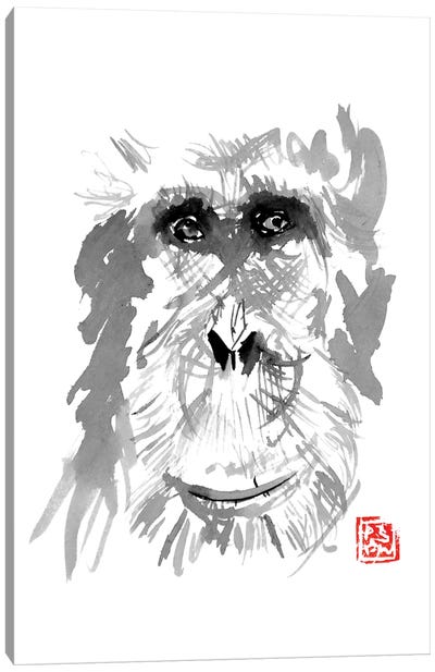 Old Orangutan Canvas Art Print - Orangutan Art