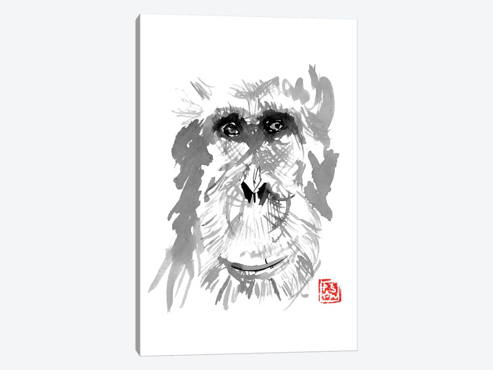 Old Orangutan by Péchane 1-piece Canvas Print