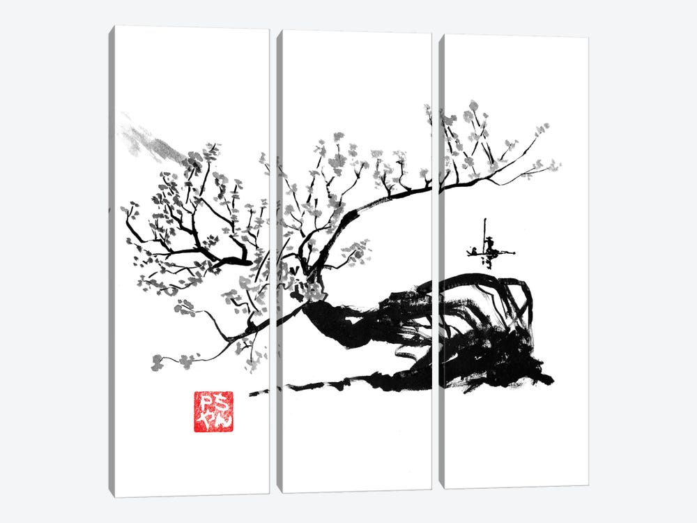 Old Tree by Péchane 3-piece Canvas Art