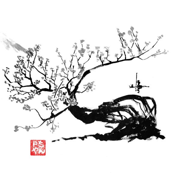 Black & White & Red: Old Tree by Péchane