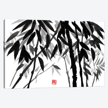 Bamboo Forest Canvas Print #PCN11} by Péchane Canvas Artwork