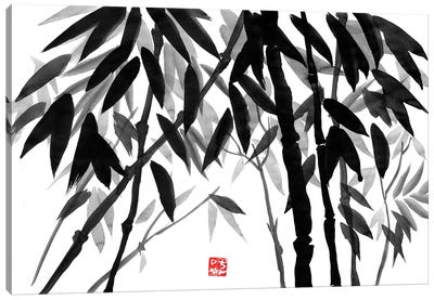 Bamboo Forest Canvas Art Print - Black, White & Red Art