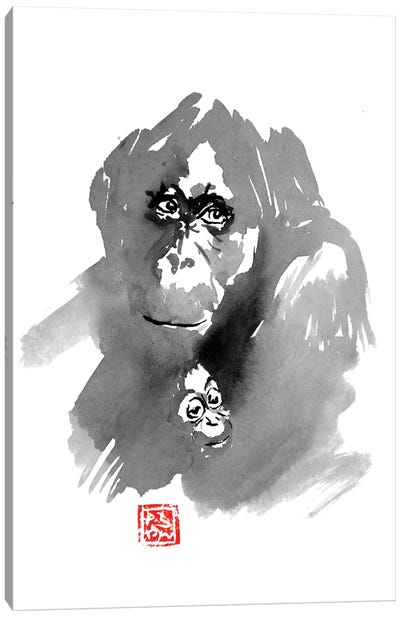 Orangutan Family Canvas Art Print - Orangutan Art