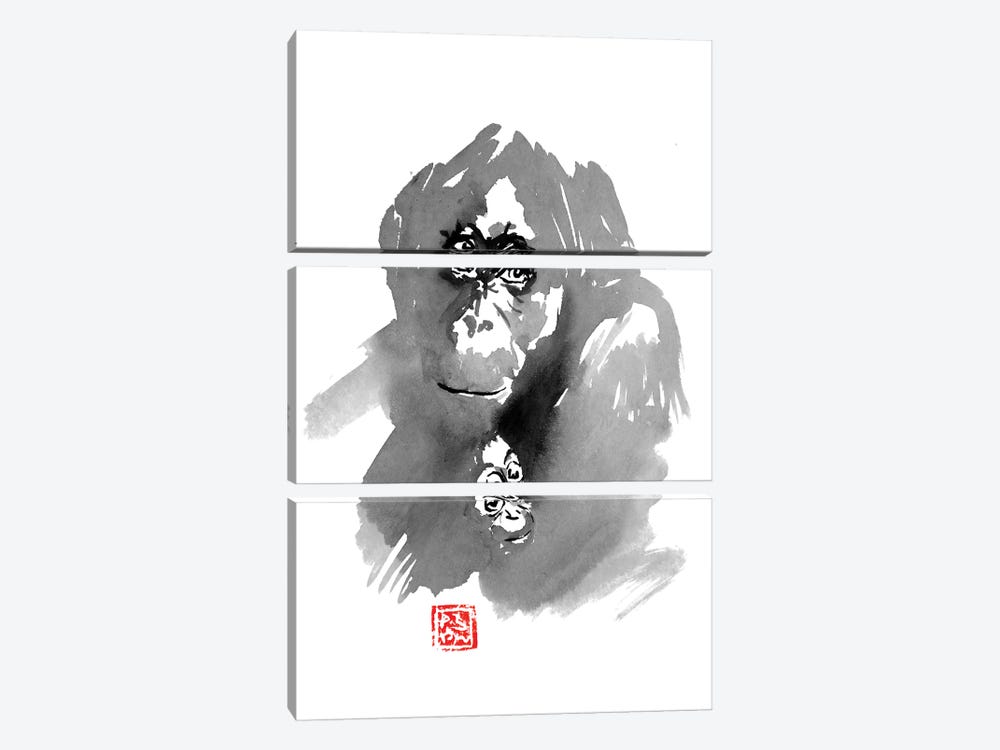 Orangutan Family by Péchane 3-piece Canvas Art Print