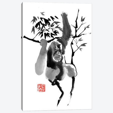 Orangutan In Tree Canvas Print #PCN123} by Péchane Canvas Art