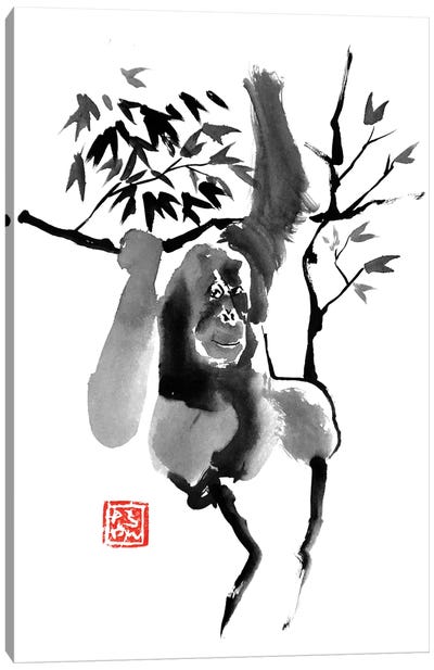 Orangutan In Tree Canvas Art Print - Orangutan Art