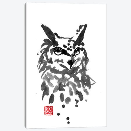 Owl Canvas Print #PCN124} by Péchane Art Print