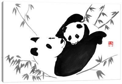 Panda Family Canvas Art Print - Restaurant