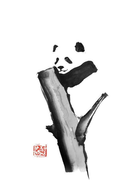 Panda On A Tree