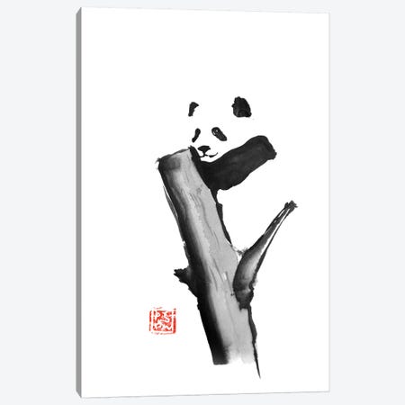 Panda On A Tree Canvas Print #PCN129} by Péchane Canvas Art