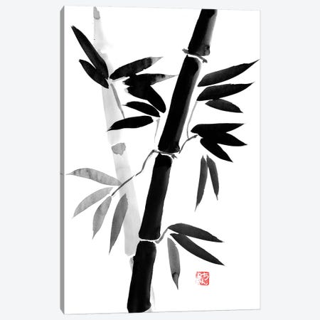 Black Bamboo Canvas Print #PCN12} by Péchane Canvas Artwork