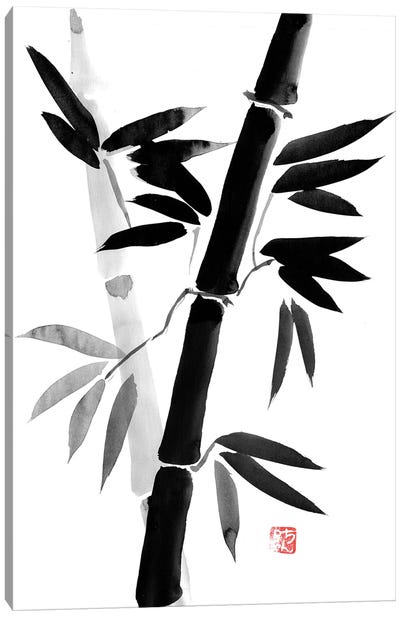 Black Bamboo Canvas Art Print - Black & White Minimalist Décor