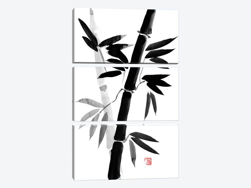 Black Bamboo by Péchane 3-piece Canvas Art