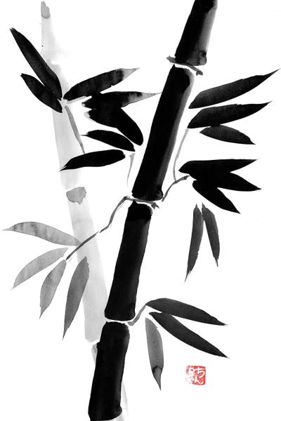 Bamboo: Black Bamboo by Péchane