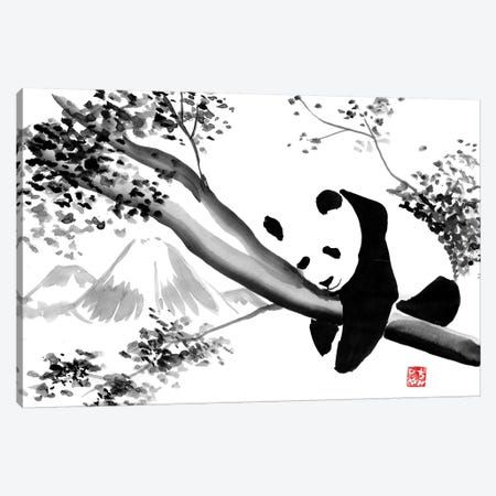 Panda's Tree Canvas Print #PCN130} by Péchane Canvas Print