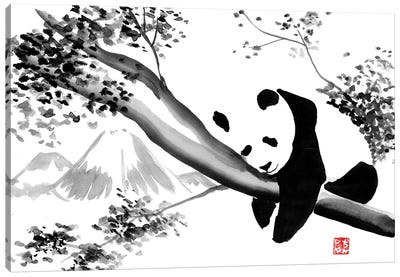 Panda's Tree Canvas Art Print - Panda Art