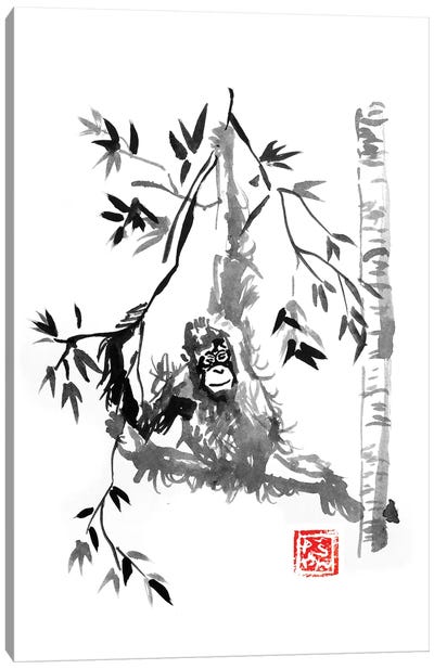 Playing Canvas Art Print - Orangutan Art