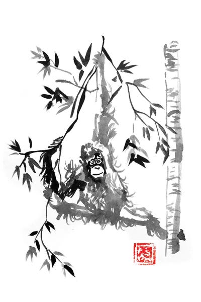 Orangutans: Playing by Péchane