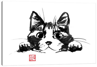 Playing Cat Canvas Art Print - Péchane