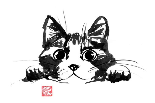 Black & White Animal Art: Playing Cat by Péchane