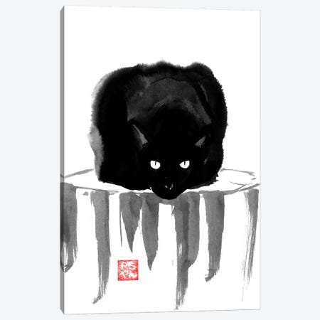 Black Cat On Wood Canvas Print #PCN13} by Péchane Canvas Art