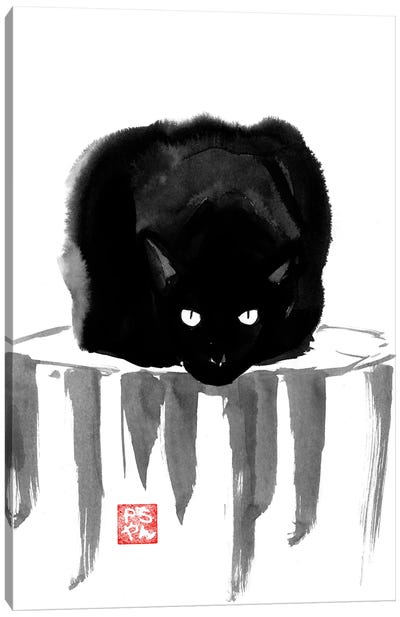 Black Cat On Wood Canvas Art Print - Péchane