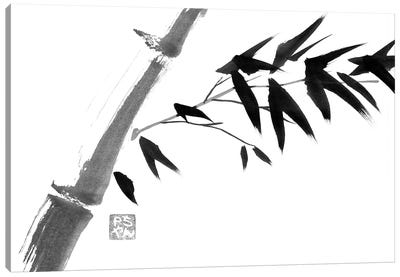 River Bamboo Canvas Art Print - Black & White Minimalist Décor