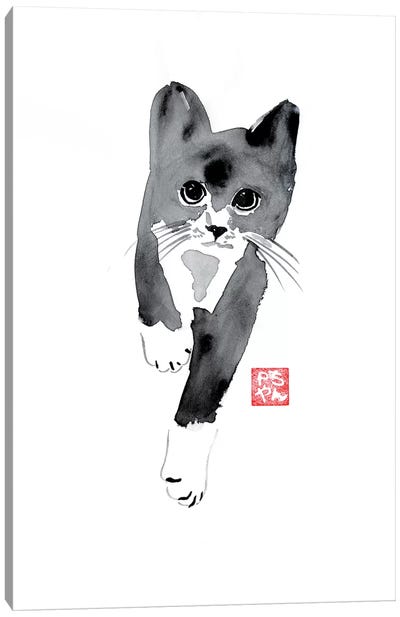Running Cat Canvas Art Print - Péchane