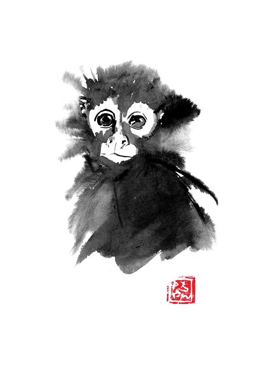 Small Monkey