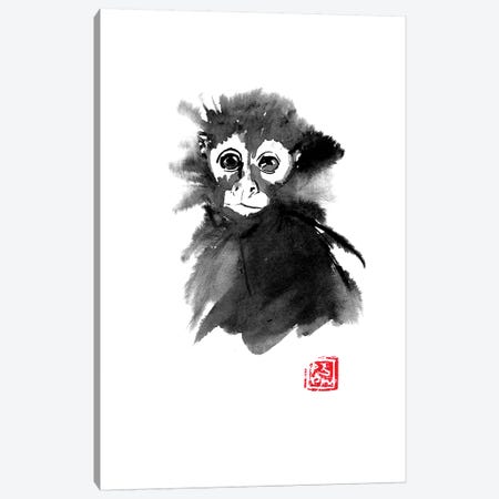 Small Monkey Canvas Print #PCN154} by Péchane Canvas Wall Art