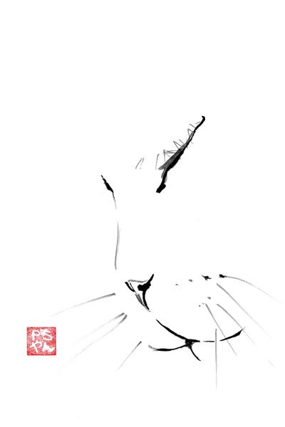 Smooth Cat by Péchane canvas print