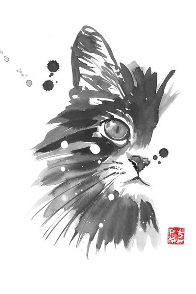 Black & White & Red: Snow Cat by Péchane