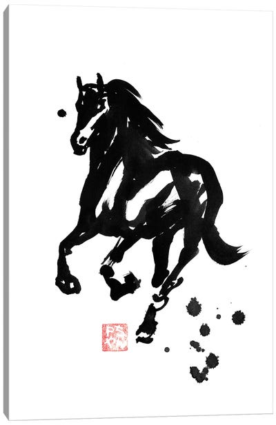 Stallion Canvas Art Print - Péchane