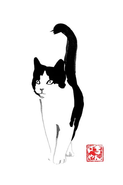 Stray Cat