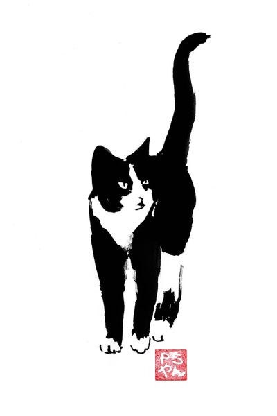 Street Cat