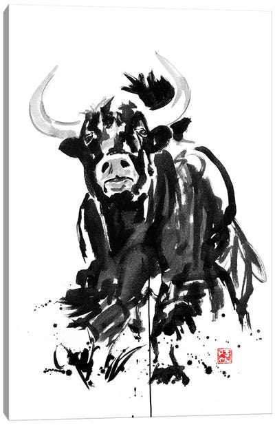 Buffalo Canvas Art Print - Péchane
