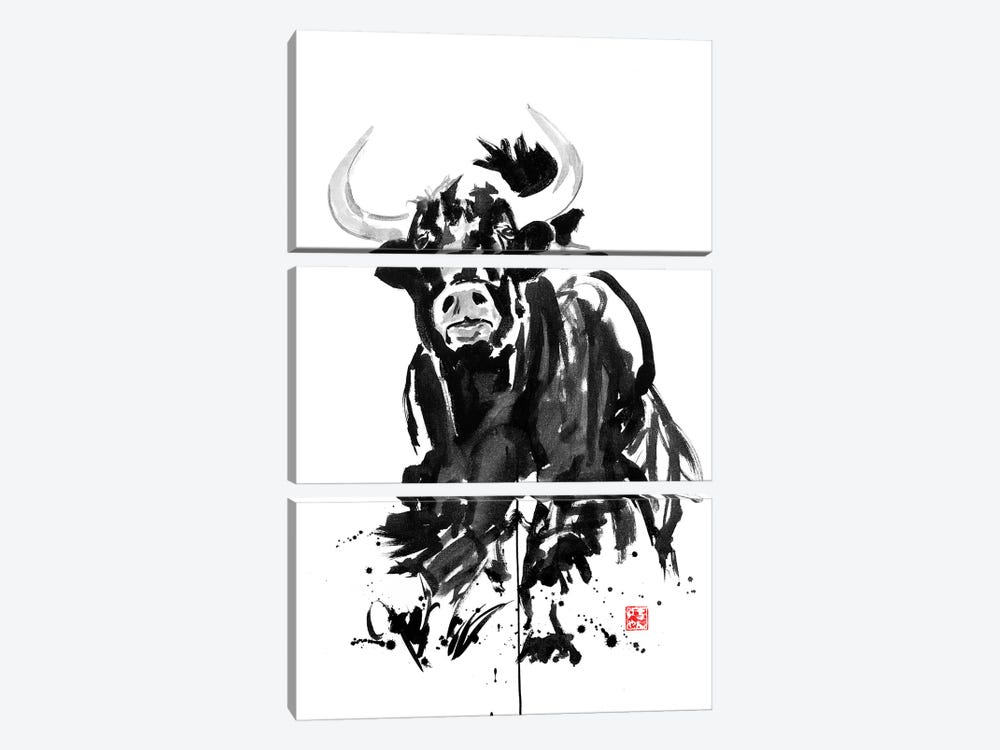 Buffalo by Péchane 3-piece Art Print