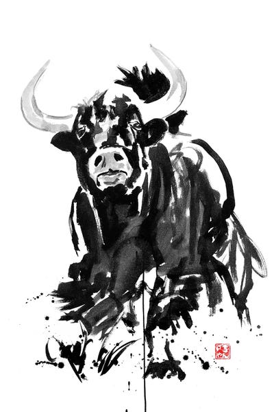 Bulls: Buffalo by Péchane