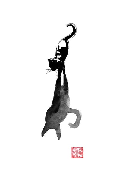 The Shadow Of The Cat