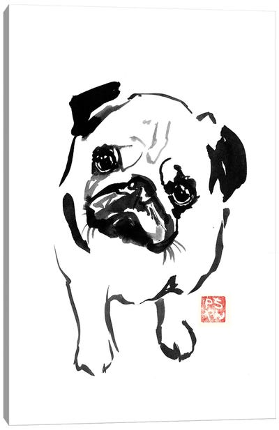 Bulldog I Canvas Art Print - Péchane